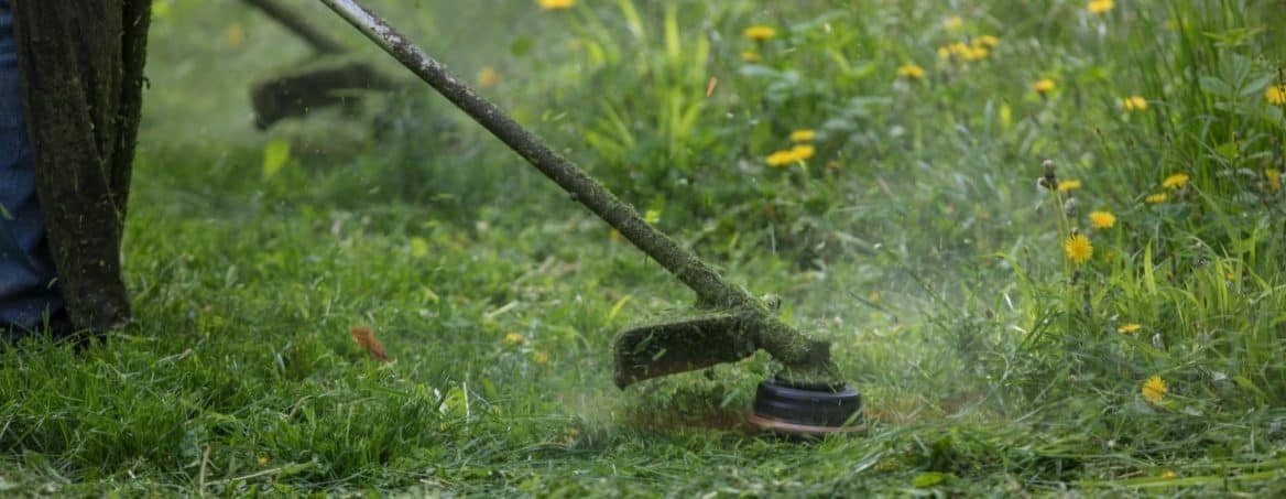 Débroussailleuse en action dans de l'herbe haute